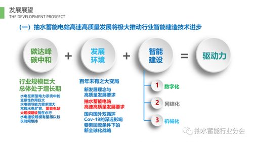 抽水蓄能电站TBM技术发展报告（2020-2021）及技术咨询指南