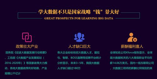 郑州大数据技术开发价格与培训选择指南